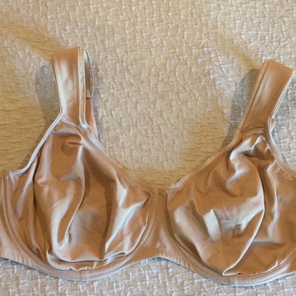 46D Anita / Rosa Faia Twin Firm Underwire Bra